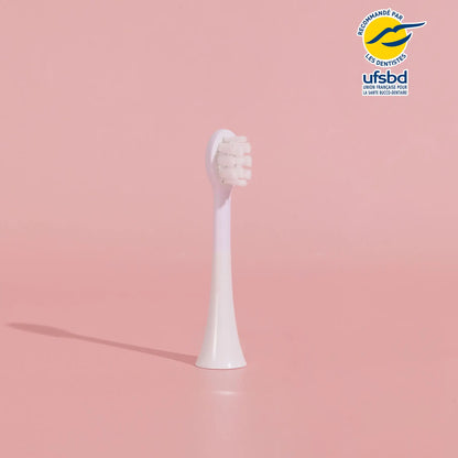 Têtes de Brosse - Enfant (abonnement)